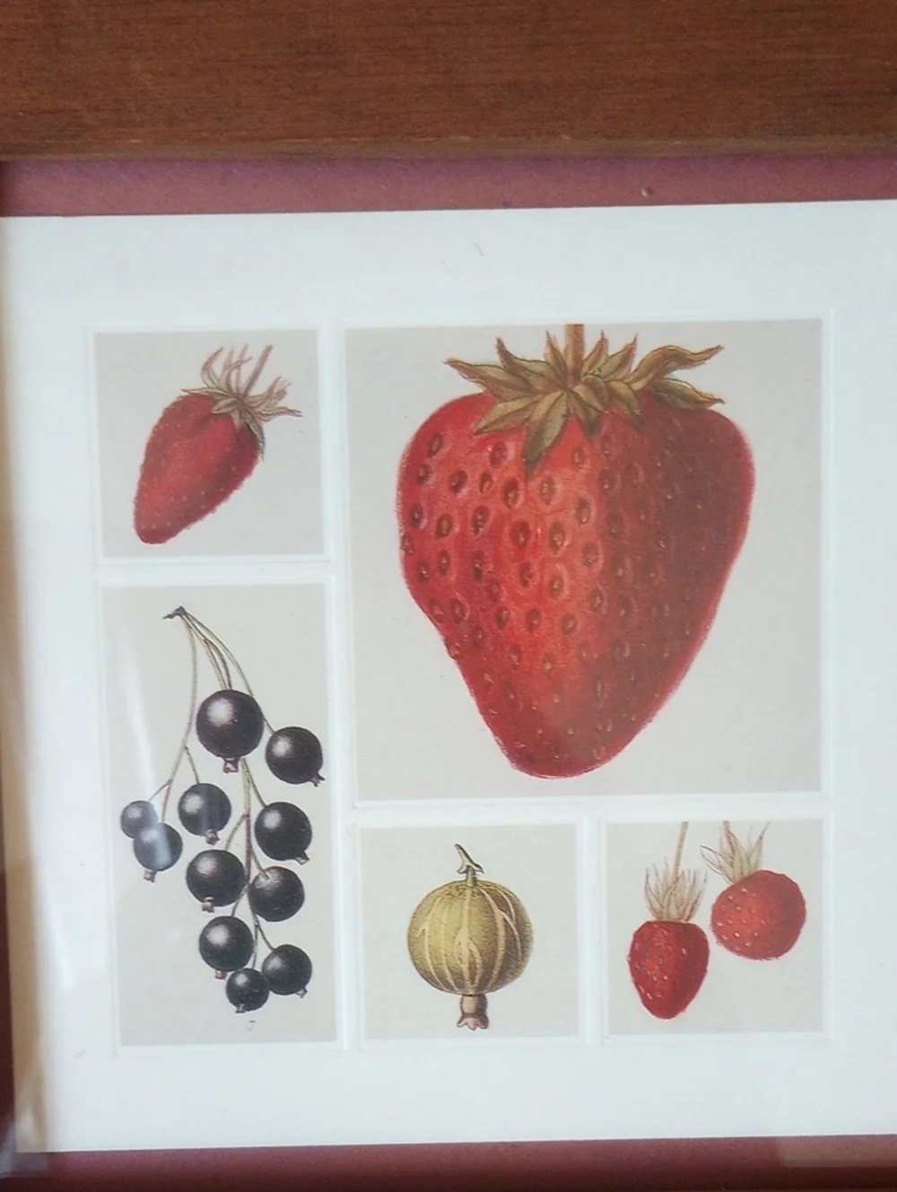 Vintage Strawberry Kitchen Art in Square Brown Wood Frame w/ Glass